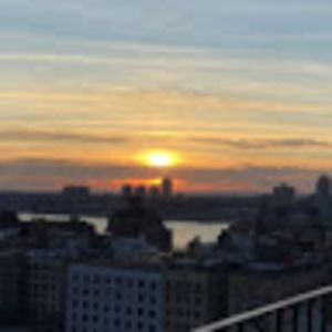 Meet your Posher, Lily